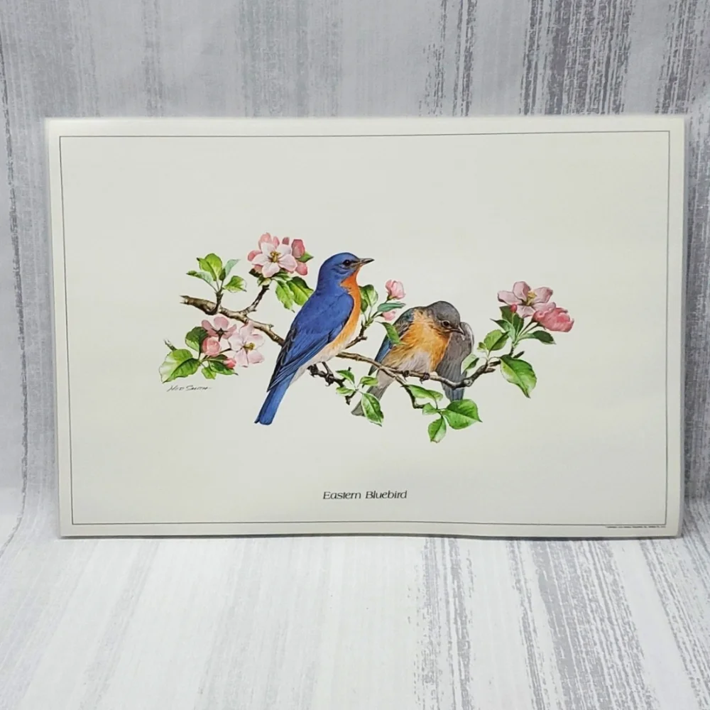 Ned Smith 6Pc Placemats SongBird Series - Picture 3 of 14